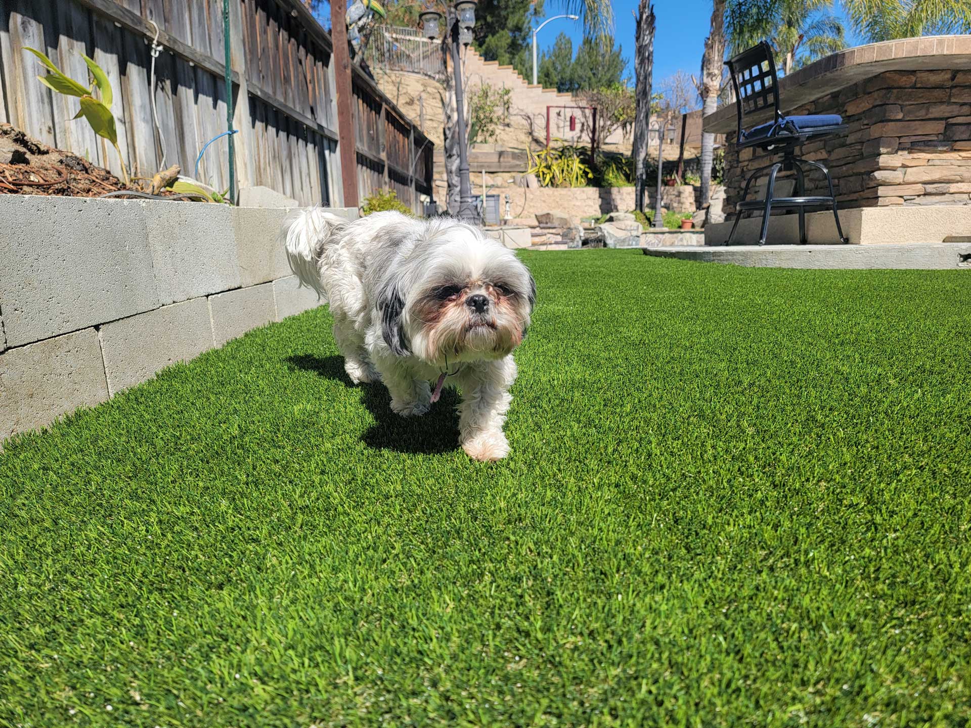 Residential Turf